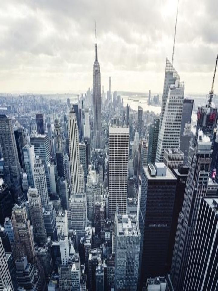New York Contact